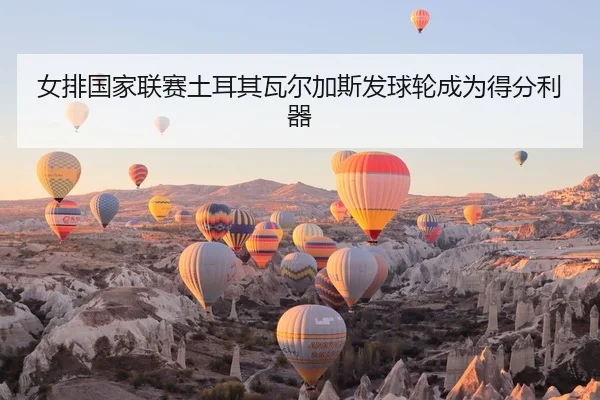 nv-pai-guo-jia-lian-sai-tu-er-qi-wa-er-jia-si-fa-qiu-lun-cheng-wei-de-fen-li-qi-2-409.jpg