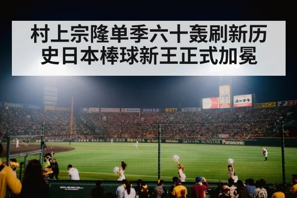baseball stadium night