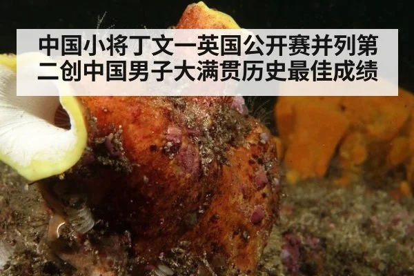 中国小将丁文一英国公开赛并列第二创中国男子大满贯历史最佳成绩